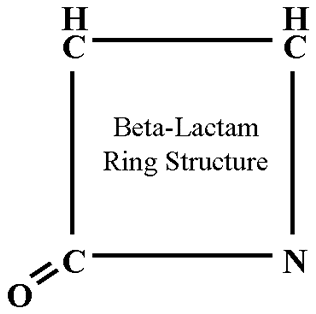 beta lactam