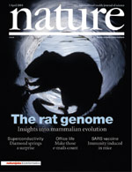 Nature Cover showing Rat Genome