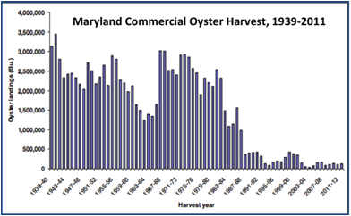 Maryland Commercial Oyster Harvest, 1939-2011
